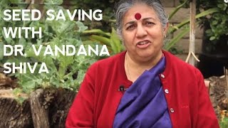 Saving Seeds at Home with Vandana Shiva [upl. by Cthrine724]