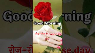 rose day good morning status 🌹 rose day status good morning 🌹 good morning rose day WhatsApp status [upl. by Lopes]