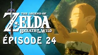 Intégralité des souvenirs de Zelda Breath of the Wild [upl. by Tawnya]