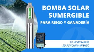 🌞💦 Bomba sumergible solar energizada directamente con paneles para riego solar y ganadería [upl. by Delila45]