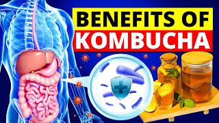 What Are The Health Benefits of Kombucha That You Should Know [upl. by Garret]