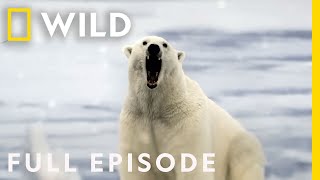 We were being hunted Full Episode  Something Bit Me  Nat Geo WILD [upl. by Refotsirc]