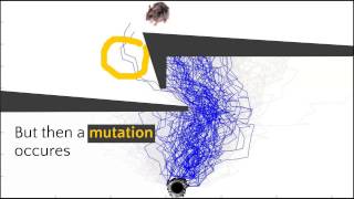 Genetic Algorithm Example [upl. by Arakihc500]