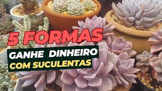 5 FORMAS de GANHAR DINHEIRO com Plantas Suculentas é assim que eu ganho [upl. by Idnak947]