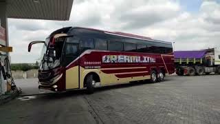 Exciting news 🎉 Dreamline Bus Company is rolling out our new fleet [upl. by Egon930]