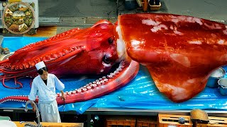 Explore Japanese cuisine How to make a giant Diamond Squid worth 10000 into a delicious dish [upl. by Initsed]