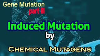 Chemical Mutagens  Induced Mutation  Gene Mutation [upl. by Benedix]