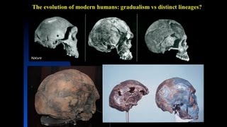 CARTA The Origin of Us  Fossils of Modern Humans Interbreeding within and outside of Africa [upl. by Ahsot466]