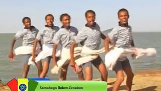 Semahegn BelewZenabun Ethiopian Music 2013 [upl. by Birgit]