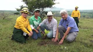 Cuitláhuac García cierra sexenio con más de 11 millones de árboles sembrados [upl. by Aciraa]