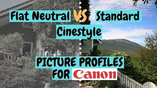 Standard VS Flat Neutral VS Cinestyle  Best Picture Profile for Canon M50  Canon M6 mark ii [upl. by Halac]