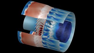 NASA Stage 67 unsteady overset grid CFD simulation with full configuration [upl. by Coad868]