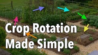 Crop Rotation Made Simple  Rotate Your Vegetable Beds for Healthier Produce [upl. by Galligan]