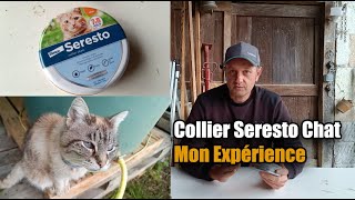 Collier Seresto pour Chat Mon Expérience [upl. by Oisacin42]