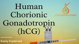 Human Chorionic Gonadotropin  HCG  Hindi Explanation  Value  Functions [upl. by Ahsaek]