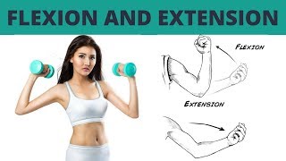 Horizontal Flexion and Extension [upl. by Michele]