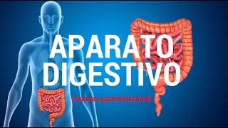 Aparato digestivo sistema gastrointestinal [upl. by Fotzsyzrk]