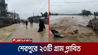 শেরপুরের বৃষ্টি আর পাহাড়ি ঢলে নদীর বাঁধ ভেঙে বিস্তীর্ণ এলাকা প্লাবিত  Flash Flood  Jamuna TV [upl. by Caputto991]