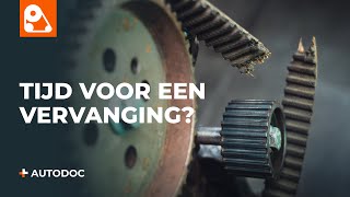 5 symptomen van een versleten distributieriem  AUTODOC tips [upl. by Nevak]