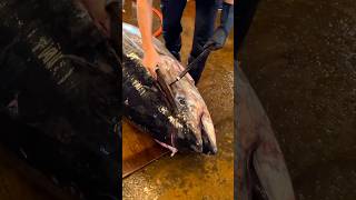 Huge 300kg Biggest Tuna Cutting food seafood tuna taiwan [upl. by Feinberg]