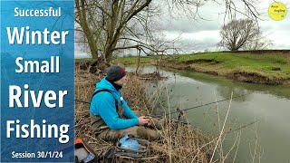 Successful Winter Small River Fishing With Bread  30124 Video 467 [upl. by Madian131]