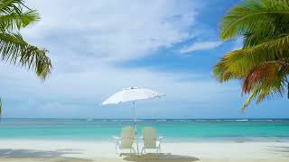 Lounge Chairs on a Tropical Caribbean Beach Ocean Sounds for Relaxation Meditation and Study [upl. by Ellga]