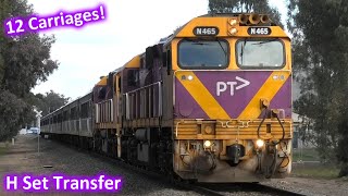 RARE VLine H Set Transfer at Shepparton Doubleheaded train with 12 carriages [upl. by Maggee]