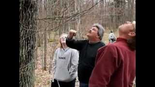 Lewiston Morel Mushroom Festival  Guided Mushroom Hunt [upl. by Beaner68]