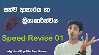 පස්වෙනි පාඩම නැවත මතක් කිරීම 01 [upl. by Nevets]