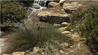 Landscaping Tips  How to Place Rock in Landscaping [upl. by Etteraj]