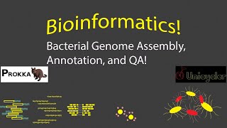 Bioinformatics  Assembling Annotating and QA for Bacterial Genomes [upl. by Enedan]