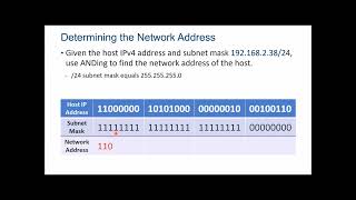 IPv4 Address Structure [upl. by Huxham]