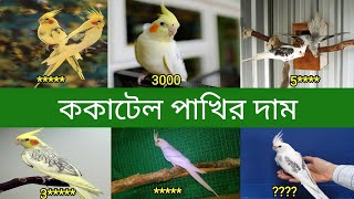 ককাটেল পাখির দাম  Cockatiel Bird Price In Bangladesh and India [upl. by Celinda214]