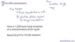 nanogram per microliter to nanomolar conversion [upl. by Fabien577]