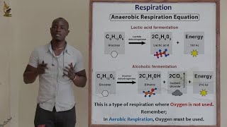 17 Respiration Anaerobic Respiration Biology Form 2 [upl. by Regnig]