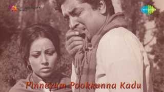 Pinneyum Pookkunna Kaadu  Enthanu Chetta song [upl. by Eux380]