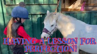 MY LESSON WITH AMY  TROTTING DIAGONALS [upl. by Alohs]