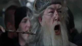 Dumbledore Screaming [upl. by Lleon]