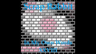 Scrap Rabbit  In My Own Words XXVIII Album [upl. by Anemaj306]