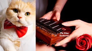 Für Elise  Beethoven  Kalimba cover [upl. by Nodnarg82]