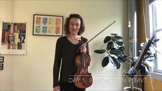 An Excerpt a Day with violinist Audrey Wright Day 5 Beethoven 9 movement 3 [upl. by Llertnac]