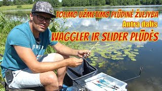 Tolimo užmetimo plūdinė žvejyba Antra dalis Waggler ir slider plūdės [upl. by Haran]