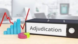 What is Adjudication How it works  Process of Adjudication [upl. by Paquito]