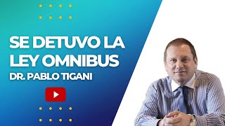 Se detuvo la Ley Omnibus ¿Qué podemos esperar [upl. by Dreddy]