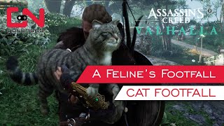 AC Valhalla Cat Footfall Locations A Felines Footfall Quest [upl. by Dunaville]