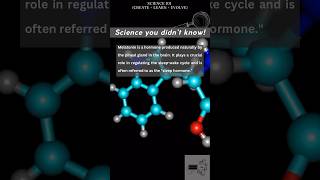 Melatonin simplified [upl. by Bina]