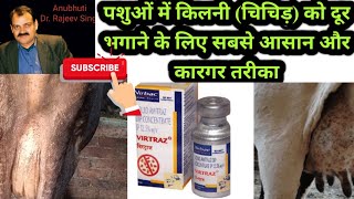 Tick infestation इस दवा से पशुओं से टिक्स किलनी भगाएं  live video [upl. by Jenks]