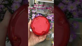 Turbo choppertupperware xay thực phẩm [upl. by Blane]