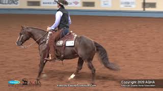 2020 AQHA Senior Ranch Riding [upl. by Vareck]