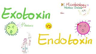 Exotoxins vs Endotoxins  Microbiology 🧫 amp Infectious Diseases 🦠 [upl. by Girardo]